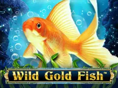 Wild Gold Fish
